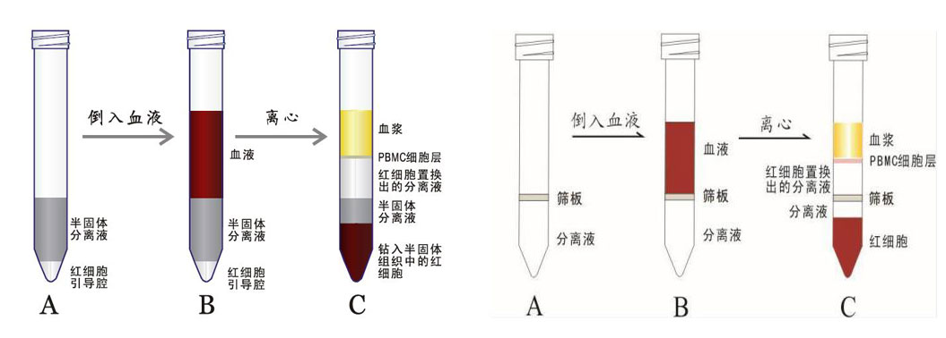 分離管合并.jpg 分離管合并.jpg